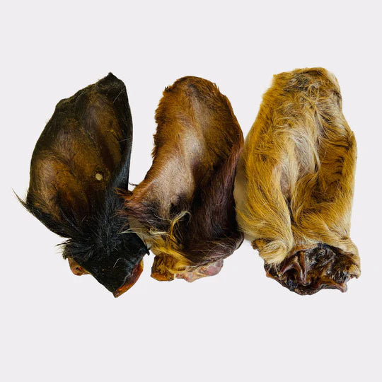 Cow's Ears (Hairy)